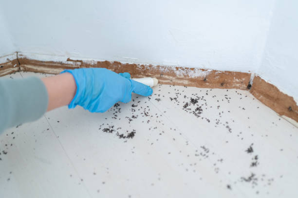 Best Emergency Pest Control  in Pottsgrove, PA